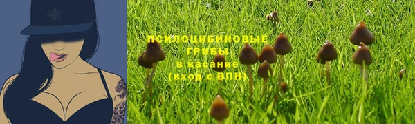 2c-b Киреевск