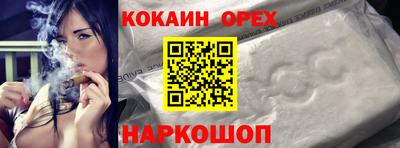 дмт Будённовск