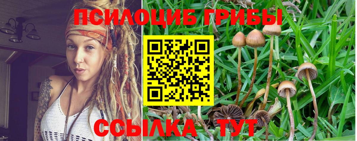 Кирово-Чепецк  Псилоцибиновые грибы Cubensis  Вход с VPN  Галлюциногенные грибы мухоморы 